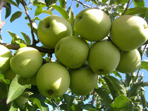 Îmbunătățirea vederii și a sănătății ochilor